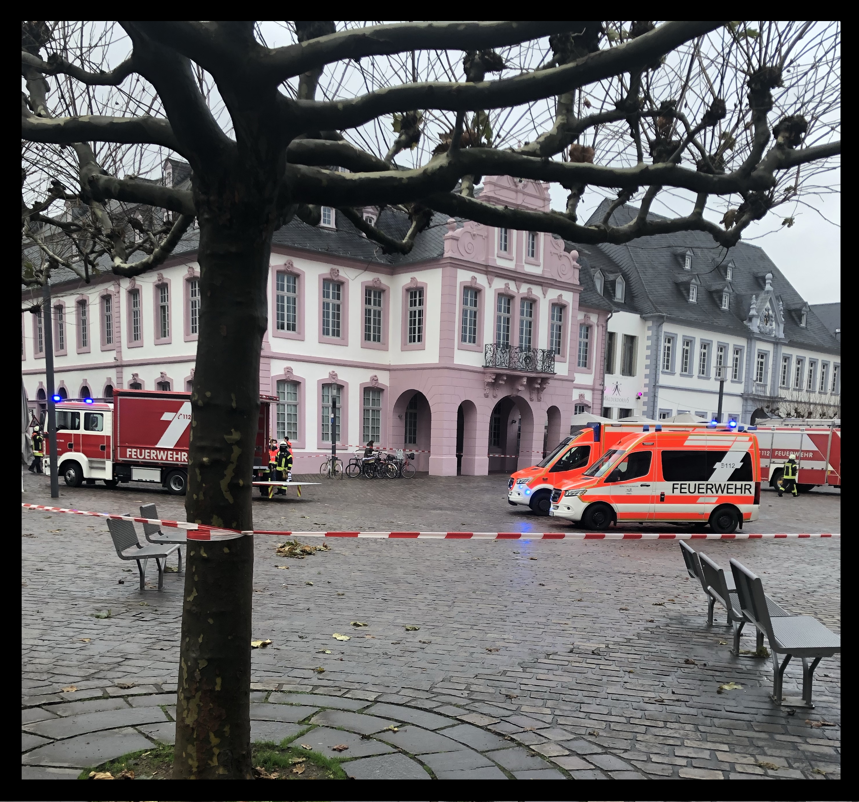 Domfreihof vor 2 Jahren. 